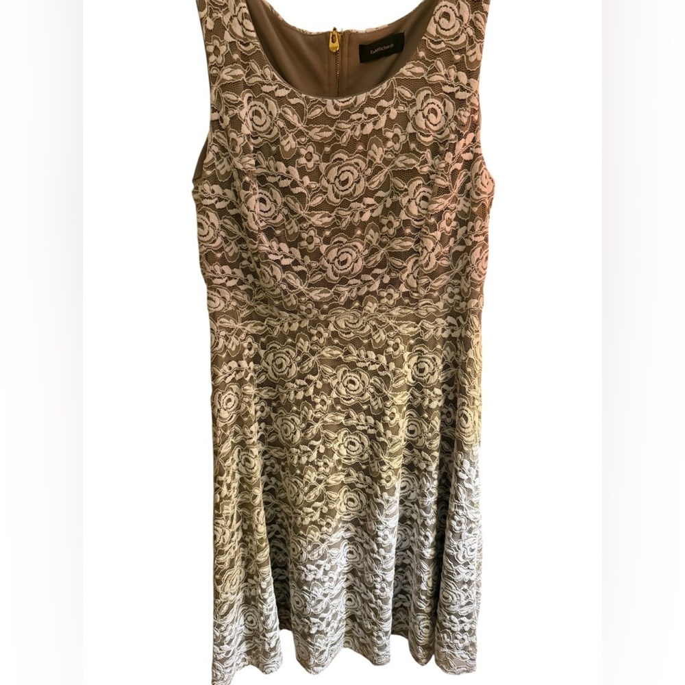 R&M Richards Lace Dress Champagne Fit & Flare Sleeveless Elegant